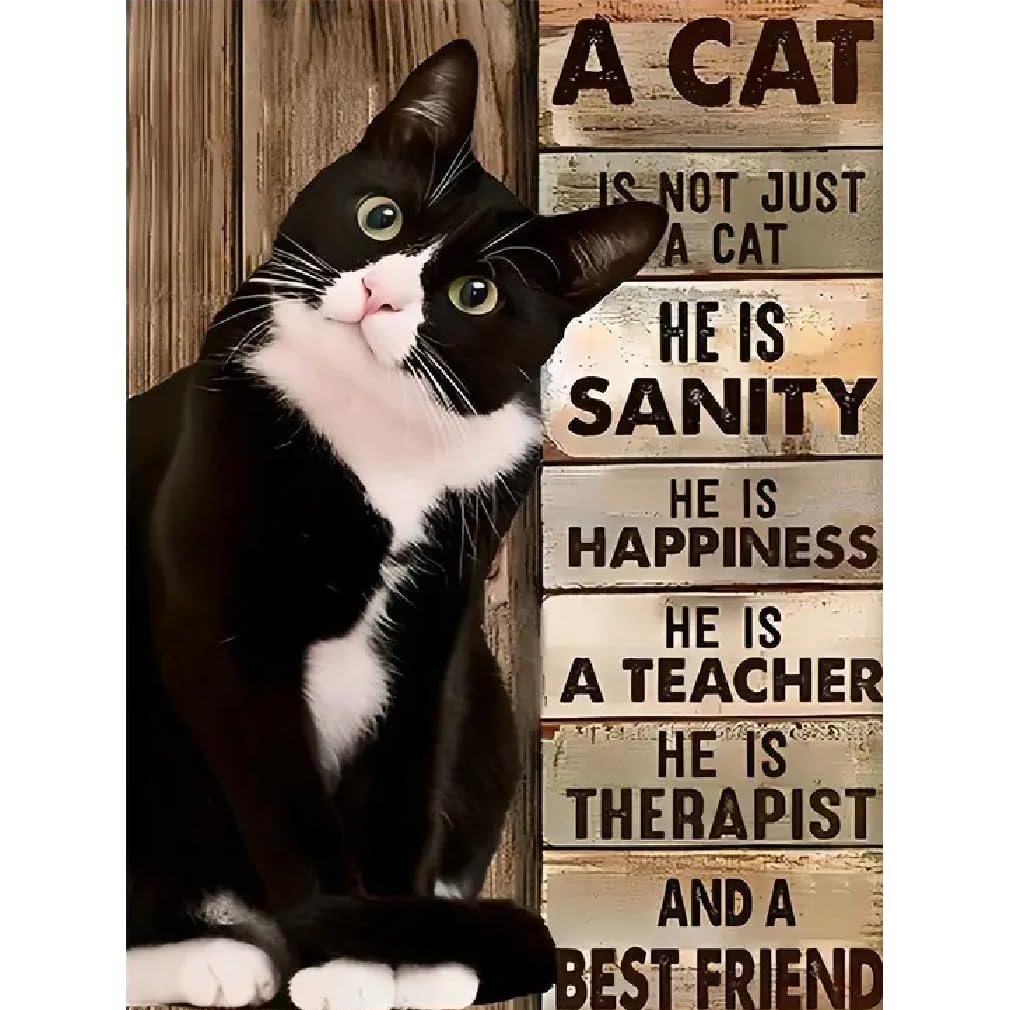 STGLCR 5D Cat Diamond Painting Kits for Adults,Diamond Art Cute Animal Inspirational Diamond Art Kits for Adults,DIY Full Round Drill Diamond Dots with Gem Arts for Home Wall Decor 16 X 12inch STGLCR