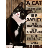 STGLCR 5D Cat Diamond Painting Kits for Adults,Diamond Art Cute Animal Inspirational Diamond Art Kits for Adults,DIY Full Round Drill Diamond Dots with Gem Arts for Home Wall Decor 16 X 12inch STGLCR