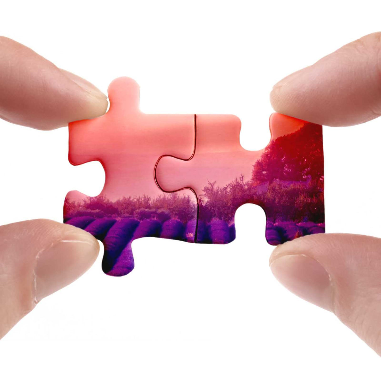 Purple Lavender Field Jigsaw Puzzle 1000 Piece, Sunset Landscape Scenery Nature Puzzles for Adults, Challenging Difficult Hard Impossible Puzzles BBOLDIN