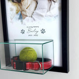 Perfect Cases Pet Memorial Display Case with 8x10 Photo Print and Display Case 7x4x4 Perfect Cases