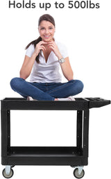 Service Cart 2-Shelf, 500 lbs Capacity, Storage Handle, for Warehouse/Garage/Cleaning/Manufacturing, 45"X25" PioneerWorks