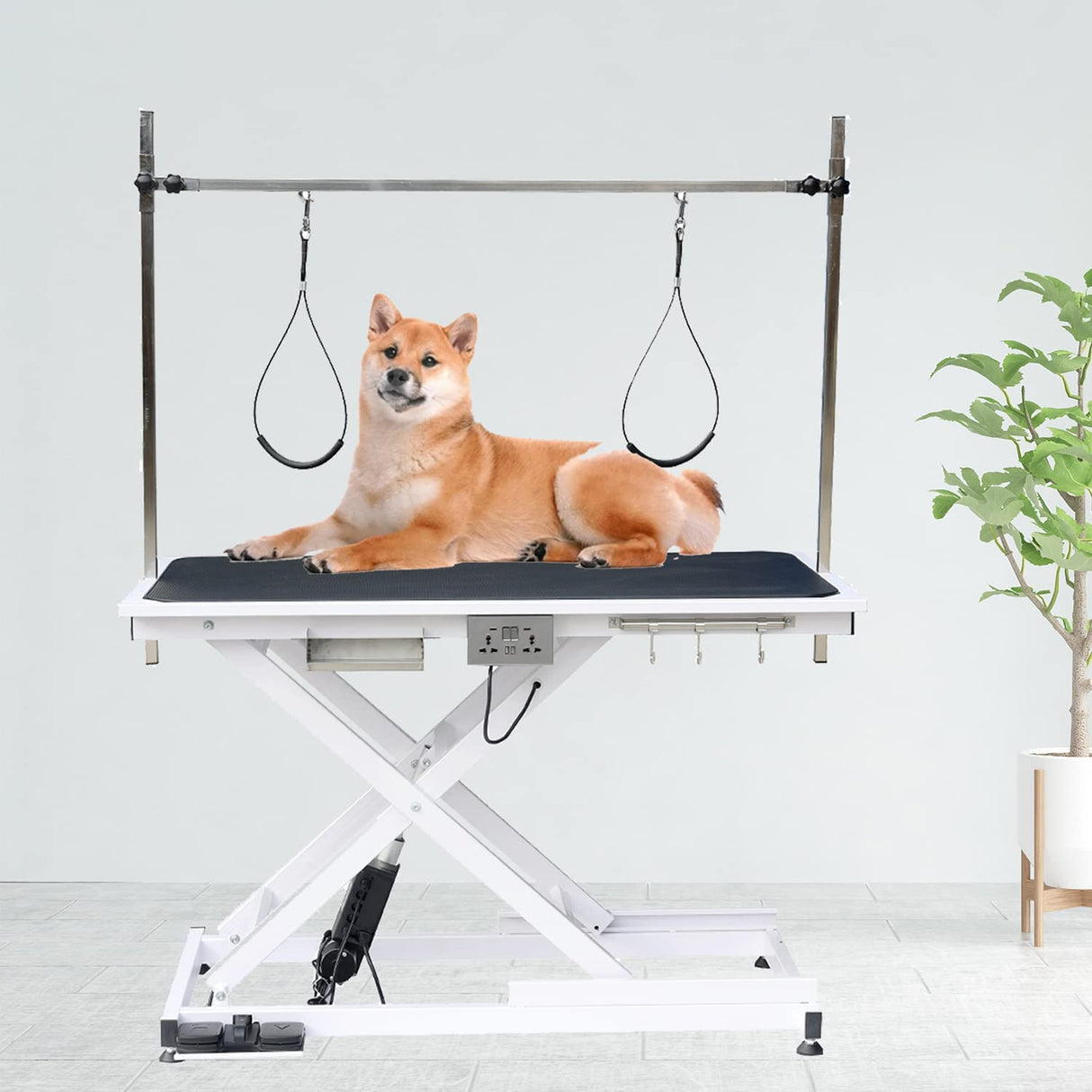 Electric Lift Dog Grooming Table, 50 Inch Heavy Duty Professional Pet Grooming Table Suitable for Large Dogs at Home with Adjustable Overhead Arms, Clamps and 2 Grooming Noose, Black Afqxf