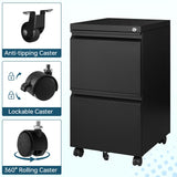 MIIIKO 2 Drawer File Cabinet on Wheels, Home Office Mobile Under Desk with Lock, Vertical Files Drawers for Legal/Letter/A4 MIIIKO
