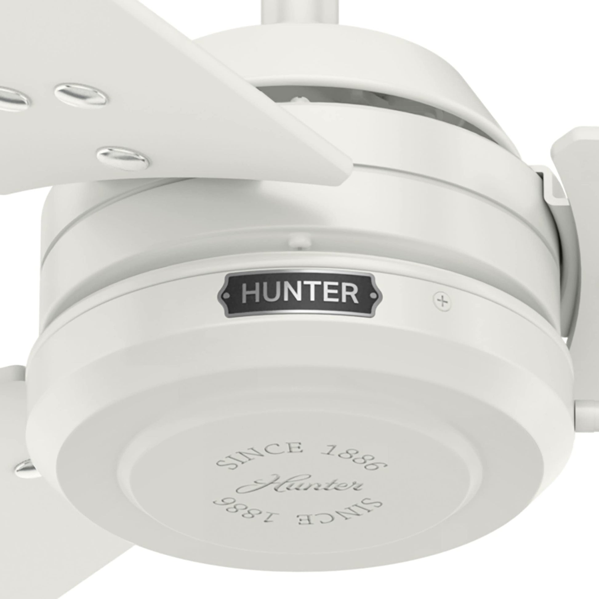 Hunter Fan Company 59263 Cassius 52 Inch 3 Blade 3 Speed Wooden Indoor/Outdoor Ceiling Fan with Pull Chain Control, Light Stripe, 52", Fresh White Finish - WoodArtSupply