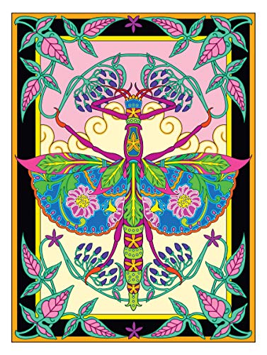 Creative Haven Incredible Insect Designs Coloring Book: Creative Haven Incredible Insect Designs Coloring Book (Adult Coloring Books: Insects) Dover Publications