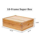 BeeCastle 10-Frames Complete Beehive Kit, 100% Beeswax Coated Bee Hive Includes Beehive Frames and Beeswax Coated Foundation Sheet (2 Layer) BeeCastle