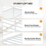VINGLI Loft Bed Full Size with Flat Rungs for Adults, Kids and Young Teens, No Box Spring Required,Heavy Duty Metal Slat Support,White VINGLI