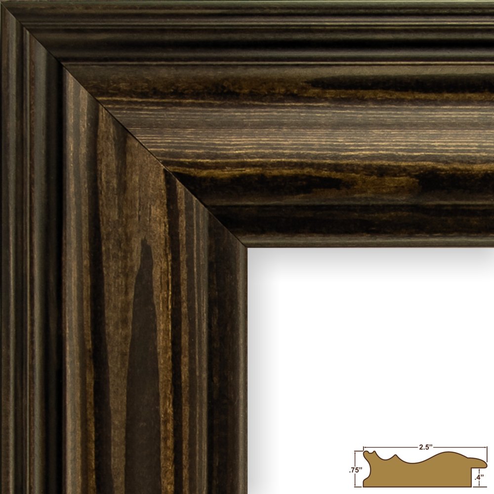 Craig Frames Potomac, 11 x 14 Inch American Walnut Brown Picture Frame Matted to Display an 8 x 10 Inch Photo Craig Frames