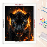 Black Panther Paint by Numbers Kit for Adults - DIY Fiery Panther Painting on Canvas 16x20 Inches, Acrylic Paint Set, Suitable for Beginners, Animal Art for Home Decoration or Gifts TAOPAOLAB