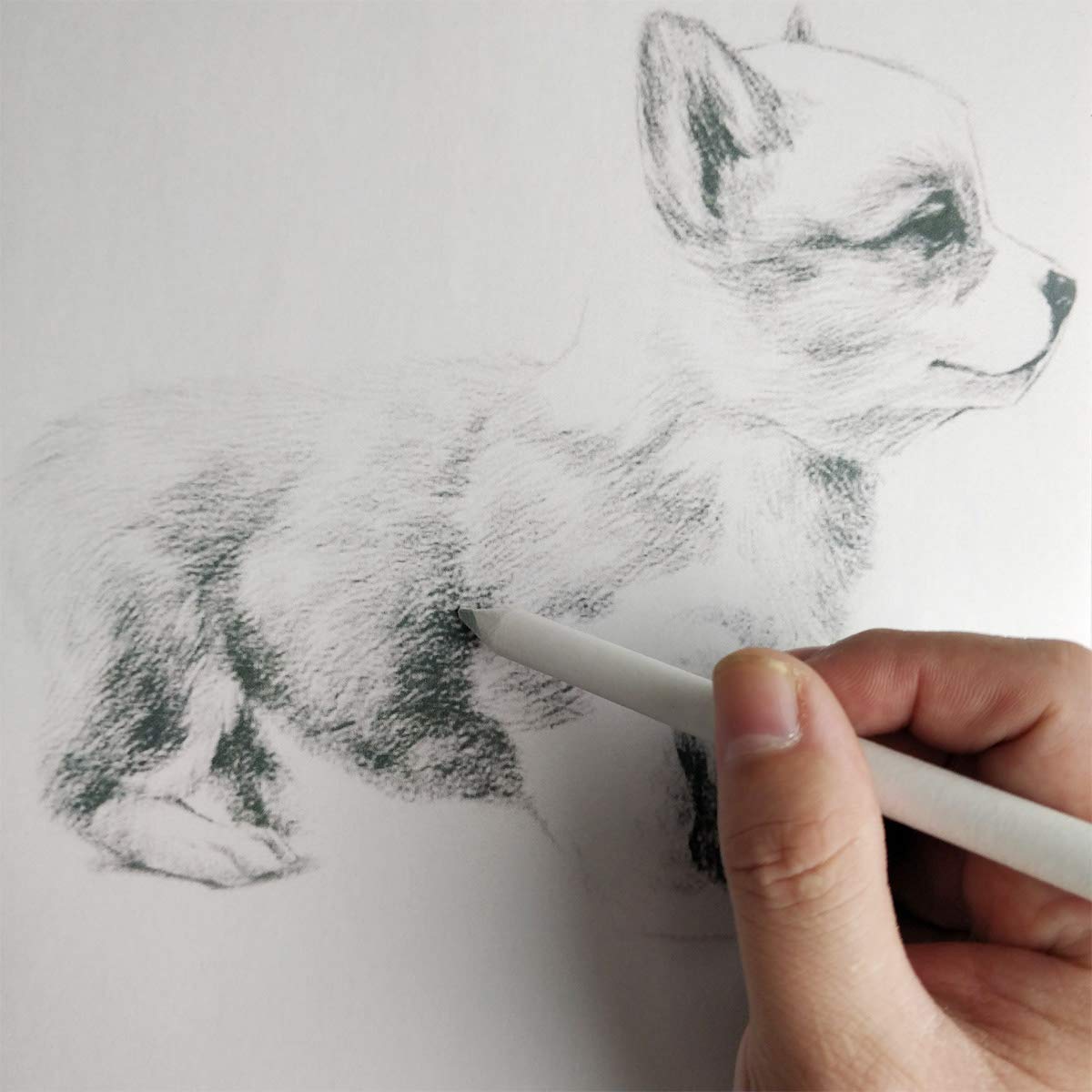 6 PCS Blending Stumps and Tortillions, Sketch Drawing Tools, Paper Art Blenders for Student Sketch Drawing yuntop