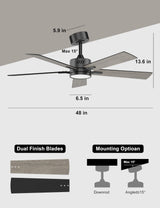 Ohniyou 48'' Ceiling Fans with Lights and Remote, 6 Speeds, 3 Colors & Dimmable LED Light, Quiet DC Motor Black Ceiling Fan for Bedroom Living Room Ohniyou
