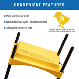 Brinsea Ecoglow Safety 600 Chick or Duckling Brooder, Adjustable Height & Angle Brooder Plate for 20 Chicks, Ideal for Chicken Coops Poultry Heating with Safety Indicator, 12 Watts Brinsea