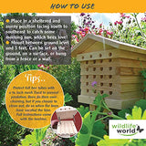 Wildlife World Interactive Wooden Bee House - Pollinator Bee Management System Wildlife World