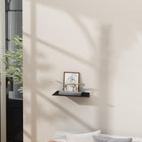Danpoo Small Floating Shelf for Wall Storage, Mini Display Shelf for Collectibles, Metal Wall Shelf for Bathroom/Living Room/Kitchen/Bedroom(Black, 8") Danpoo