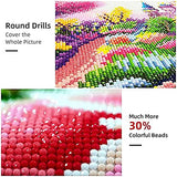 RICUVED DIY 5D Diamond Art Kits, Black Cat Diamond Art Full Diamond Art Kits for Adults Cat Crystal Rhinestone Embroidery Cross Stitch Arts Craft Supply Canvas Wall Decor 12x12 inches RICUVED