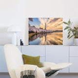 QACEYID Washington dc USA in Spring Water City Stock Pictures Royalty Free Paint by Numbers Kits for Adults DIY Wall Art Picture Canvas Oil Painting Set Digital Paintworks for Beginners 16x20 inch QACEYID