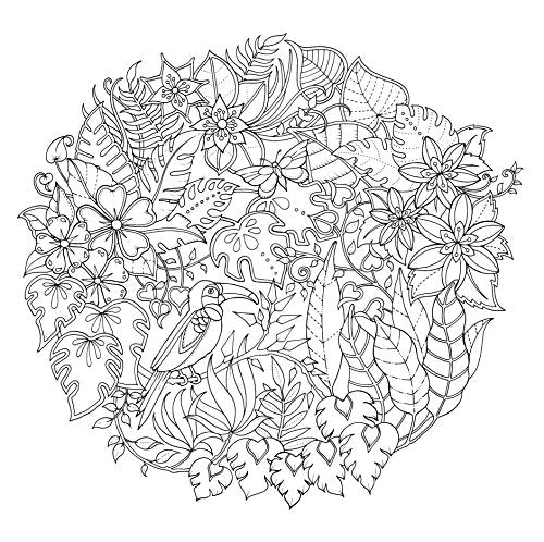 Magical Jungle Virgin Books