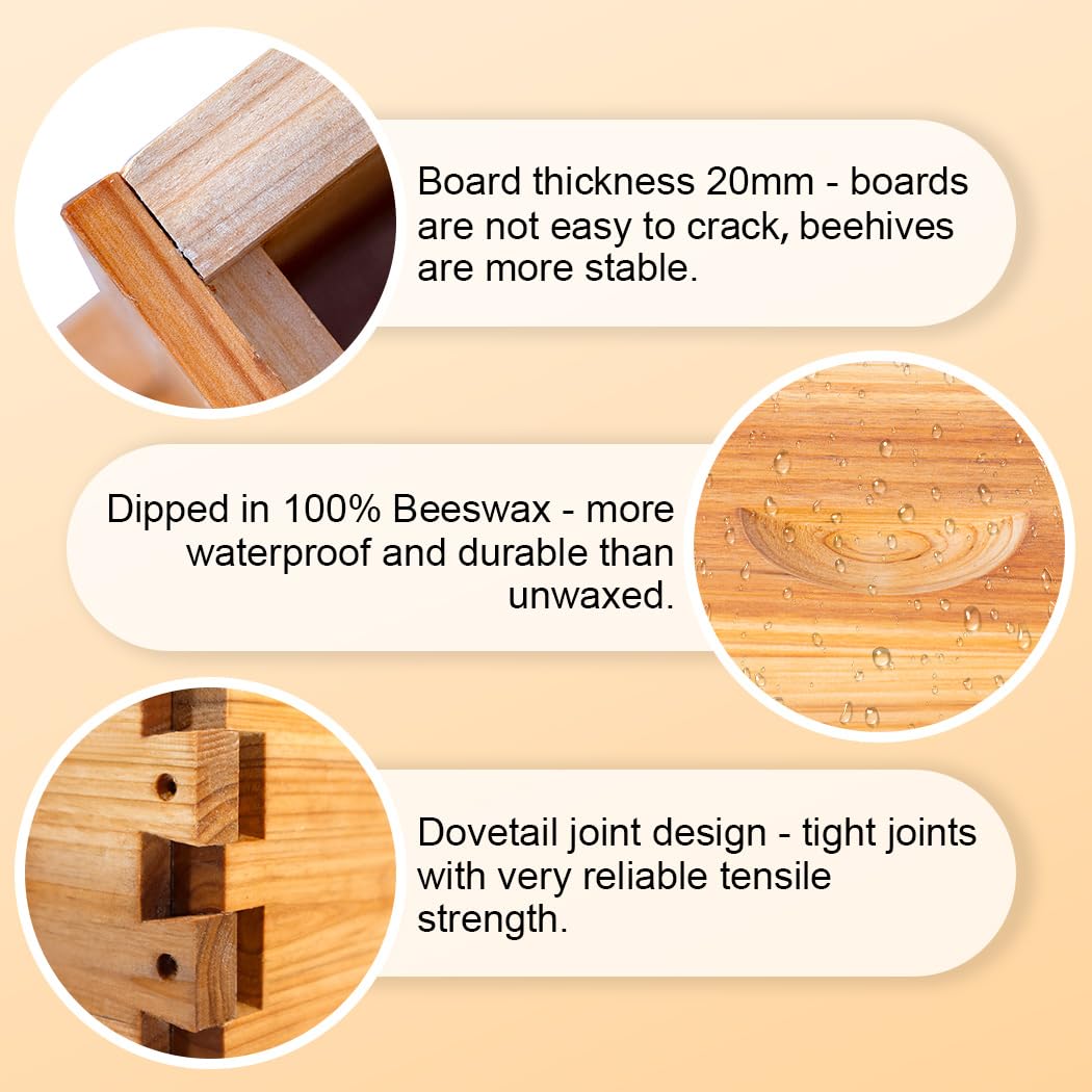 BEEINN 10 Frame Bee Hive Box, Langstroth Deep Brood Bee Box Dipped in 100% Beeswax Include Beehive Frames and Waxed Foundation Sheets (Unassembled) BEEINN