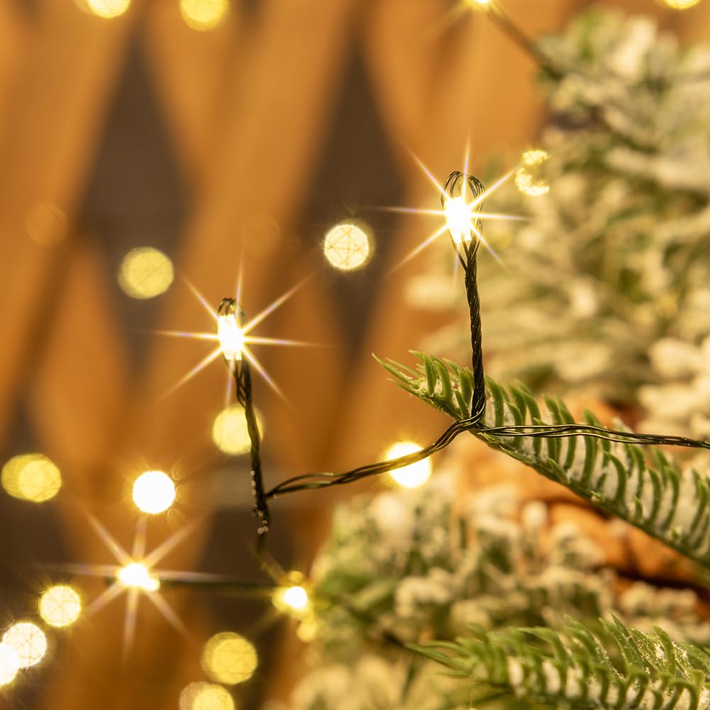 ZELUXDOT Fairy Lights Plug in,100FT 1000 LEDs Waterproof String Lights,Green Wire,Firecracker Lights with Remote 8Modes for Indoor Outdoor Christmas Wedding Birthday Patio Garden Decor,Warm White ZELUXDOT