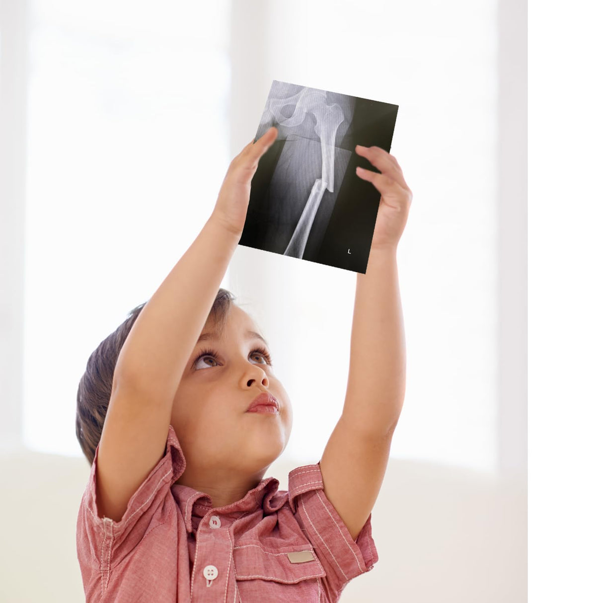 Human Body Activities & Experiments Science Kit for Kids,Human Anatomy Body Parts with Broken Bones X Ray,Lung Breathing Model, Vessels, Digestive System,Muscles Model,Skeleton,Human Organ STEM 5+ VMNlooking