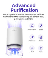 Rosekm Small Air Purifier for Home Bedroom, Personal Desk Mini Air Purifier, Room Hepa Air Purifier Fresheners Cleaner for Dorm, Pets, Smoke, Desktop, Office (White) Rosekm