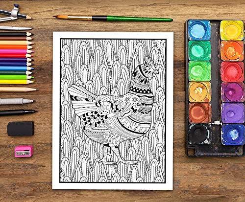 Fantastic Animals: A Wild Adult Colouring Book