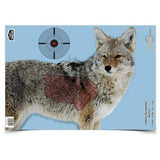 Birchwood Casey 35405 Pre Game Coyote 16.5 x 24 Target, 3-Pack Birchwood Casey
