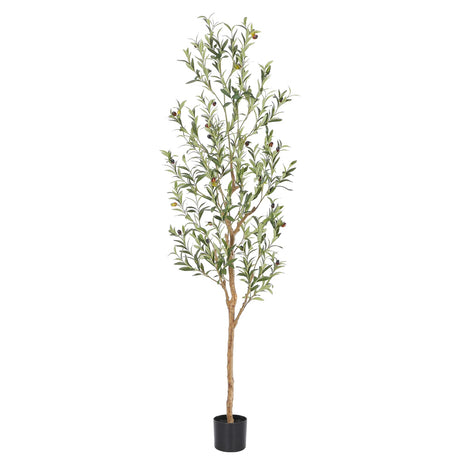 Bellacat Faux Olive Tree 6ft，Olive Trees Artificial Indoor with Natural Wood Trunk and Realistic Leaves and Fruits. 6 Feet(72in) Fake Olive Tree for Home House Office Décor. bellacat