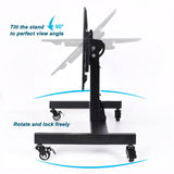 Nuwovwo Rolling TV Stand, Mobile TV Cart, Low Profile Floor Confidence Monitor Cart for 32-75 inch Screen, Height Adjustable, 90°Adjustable Viewing Angle Nuwovwo