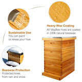 MayBee 10 Frame Screened Bottom Board Beehive Dipped in 100% Beeswax, Bee Hives Kit Includes 2 Deep Boxes & 1 Medium Box with Beehive Frames and Heavy Wax Coated Foundations.Preferred for Summer. MayBee