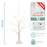 EAMBRITE Home Decorations Light Up White Birch Tree Indoor Christmas Decor, 4 Pack Battery Operated/USB Lighted Tabletop Money Tree Lamp Led Lights Easter Wedding Centerpiece Table Room (2 Ft) EAMBRITE