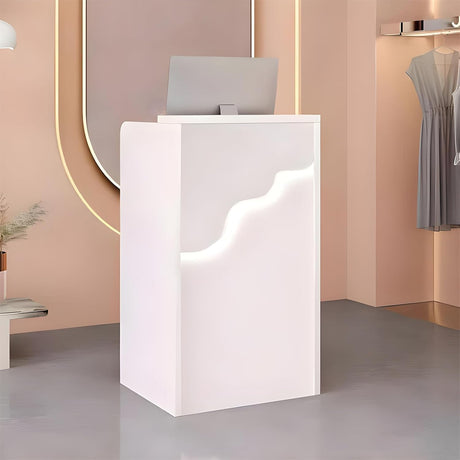 Tianxrxy Small Reception Desk for Small Spaces,Check Out Counter,Cashier Table for Beauty Spa,Salon Front Desk Receptionist,Cash Register Standing Table for Business Led Light 23.6in(White) Tianxrxy