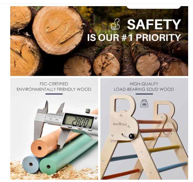 BlueWood Pikler Triangle Set, Foldable Wooden Climbing Toys Set, Indoor Playground Jungle Gym, Montessori Climbing Set for 2-6 Years Old, Toddlers, Baby, Kids (Rainbow) BlueWood