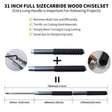 RUITOOL Carbide Wood Lathe Turning Tools Set with Bowl Sander, Including Swan Neck Hollower, Rougher, Finisher, Detailer, 1" & 2" Mandrels, Sandpapers and Aluminum Alloy Handles for Woodturning RUITOOL