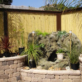 Backyard X-Scapes Natural Bamboo Fencing 6 feet High Outdoor Decorative Rolled Fence Panel 6 ft H x 4 Ft L x 1 in D Backyard X-Scapes