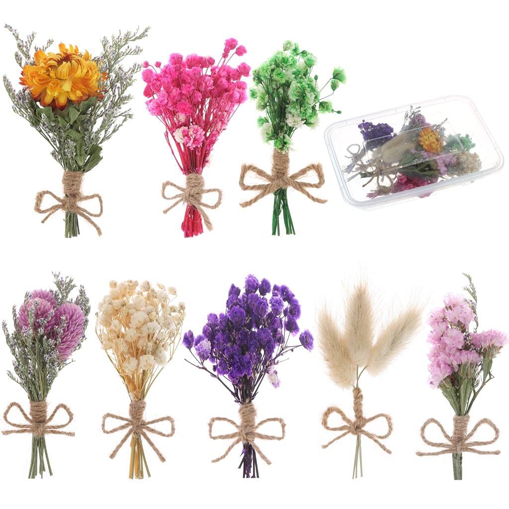 8 Pcs Mini Gypsophila Bouquets Dried Flower Daisy Bundles Dry Flower&Leaves Natural Lagurus Dried Embossing Flower Plant Stem Bunch for DIY Craft,Card Decoration,Photo Props,Home Party&Wedding Decor WWahuayuan