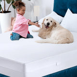 Utopia Bedding Waterproof Mattress Protector Twin Size, Zippered Mattress Encasement Bed Bug and Dust Mite Proof, Absorbent Six-Sided Mattress Cover Utopia Bedding