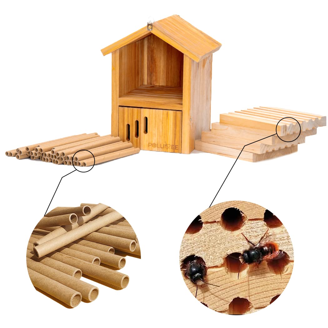 Mason Bee House - Wax Coated Waterproof Hotel for The Garden, Natural Handmade Wooden Home, Attracts Peaceful Pollinators, Native Habitat POLLIBEE