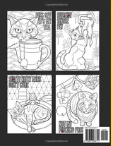 Swearing Cats Catitude Volume 2: Adult Coloring book Of Hilarious Kitty Memes For Laughter and Relaxation Lindesa