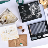 HNIHUY Professional Sketch Pencils Set, 17 Pcs, Graphite Pencils (8B-4H), Erasers and Sharpener, Art Drawing Pencil for Artists Beginner Sketching WoodArtSupply