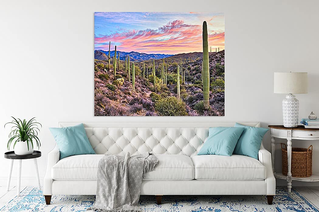 Diamond Painting Cactus Sunrise in Sonoran Desert Near Phoenix Arizona for Adult Painting Kits Diamond Art Perfect for Home Wall Decor 12"x16" Handmade Arting