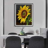 ACANDYL Sunflower DIY Paint by Numbers Kit for Adults Beginner Paint by Number for Adults Canvas Painting by Number DIY Acrylic Oil Painting on Canvas Arts Craft Decoration Flower 16x20 in ACANDYL