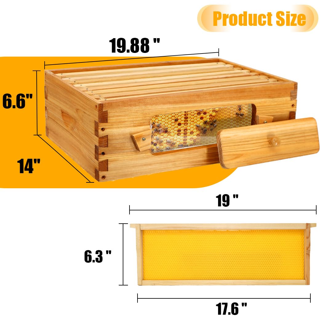 Honey Lake Bee Hive with Windows, 8 Frame Langstroth Complete Beehive Starter Kit Dipped in 100% Beeswax with Beehive Frames and Waxed Foundations (1 Deep Brood Bee Hive Box & 1 Medium Super Bee Box) Honey Lake