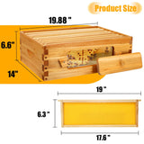 Honey Lake Bee Hive with Windows, 8 Frame Langstroth Complete Beehive Starter Kit Dipped in 100% Beeswax with Beehive Frames and Waxed Foundations (1 Deep Brood Bee Hive Box & 1 Medium Super Bee Box) Honey Lake