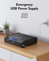 HOLEWOR Gun Safe, Biometric Gun Safes for Pistols with LCD Display of Temperature Humidity, Fingerprint Quick Access Pistol Safe Solid Handgun Safe with USB C Port HOLEWOR