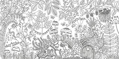 Enchanted Forest: An Inky Quest and Coloring book (Activity Books, Mindfulness and Meditation, Illustrated Floral Prints) Laurence King Publishing