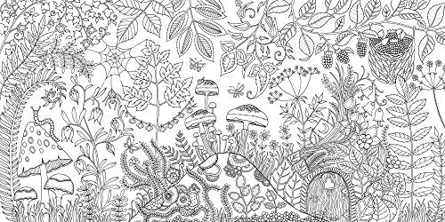 Enchanted Forest: An Inky Quest and Coloring book (Activity Books, Mindfulness and Meditation, Illustrated Floral Prints)