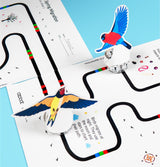 Ozobot Evo Entry Kit: Interactive Coding Robot, Kids Ages 5+, Includes Color Code Markers, Charging Cable, Zip Case, Access to 700+ STEM Lessons - Educators & Parents, No Coding Experience Required Ozobot