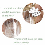 Pet Hair Memorial Bottle,Glass Vial for Ashes Or Hair Dog Or Cat Keepsake Pet Loss Gift (Bottle) free-space