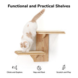 FUKUMARU Cat Wall Shelves, 2 Platform Cat Wall Furniture, Tree Shape Wall-Mounted Cat Floating Shelf with Sisal Mat, Solid Rubber Wood Cat Perch for 16 Inch Drywall, Suitable for Climb, Play, Nap FUKUMARU